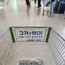 스피드메이트 이마트트레이더스 수원점 | 이마트트레이더스 홀세일클럽수원화서점 내돈내산 솔직한후기