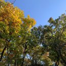 소래산공영주차장 이미지