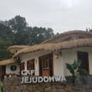 제주도화 이미지