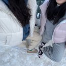 키쿠케이크 이미지