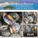 완도전복 이미지