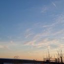 (주)선우쇼핑 이미지