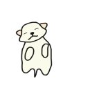 카페젤코바 이미지