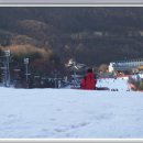 양지파인리조트 이미지