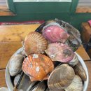 백번횟집 이미지