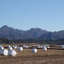 조화축산 이미지