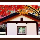 제천 배론성지 단풍 이미지