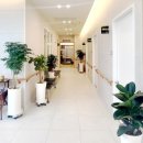 아나파한방병원 이미지