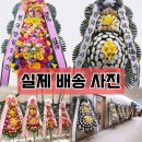 영월화환