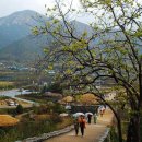 낙안읍성 이미지