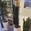 청담비포앤애프터의원 | 청담 비포앤애프터 클리닉 리쥬란 아이 4cc 시술 후기 | 촉촉하고 탄탄한 눈가 만들기!