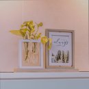 리치하우스 이미지