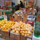 싱싱청과 이미지