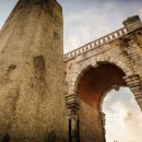 조선껍데기 이미지