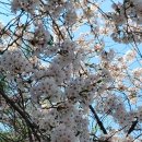 월계천2 이미지