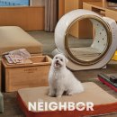 펫 프렌들리 호텔 이미지