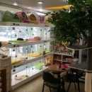 바둑아놀자 이미지