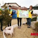 이종철 농장 이미지