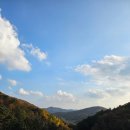 라 까시나 이태리 | 경기도 광주 아이랑 가볼만한곳 :: 라까시나 이태리