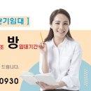 강정동-40 Daum카페