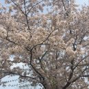 운천저수지 이미지