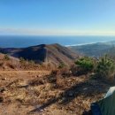 망운산 등산로 이미지