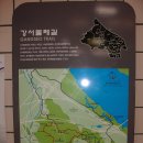 치현사 이미지
