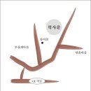학령2 이미지