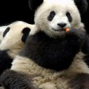 청화메디칼 이미지