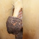 탑골산장 이미지