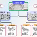 리올라이트컴퍼니 티스토리
