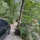 비채야영장 이미지