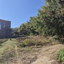 서곡주유소 이미지