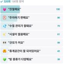 보보스 스파랜드&휘트니스 이미지