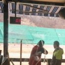 다이나믹 복싱 이미지