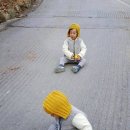 쌍둥이썰매 한국일보