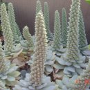 개금1동-20 이미지