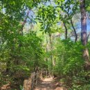 CU 춘천퇴계공단점 이미지