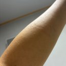 경찰대 앞 교통섬(주유소쪽) | 세부 모알보알 여행 관련 간단 후기/팁