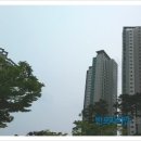 리체 꿈나라 어린이집