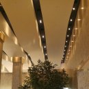 미샤스크린골프 | 송도 센트럴파크 호텔에서의 하룻밤!