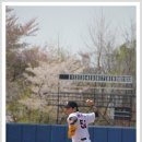 마이마트 이미지