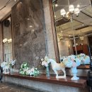 애플 | 분위기있는 데이트, 부산 그랜드애플 뷔페 후기(주말 저녁)