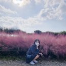 풍년아그로 이미지