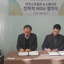 젤리스프링 이미지
