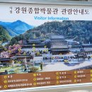 동양석공예 | "강원종합박물관 후기 - 시간 여행을 떠난 특별한 하루"