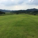 성산 태양광발전소 이미지