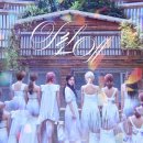 네이처빈