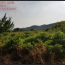 임고면-금대리-3