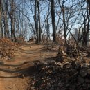 점봉체육관 이미지